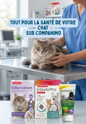 Flexadin pour chat, complément alimentaire conçu pour favoriser la mobilité et la flexibilité des articulations