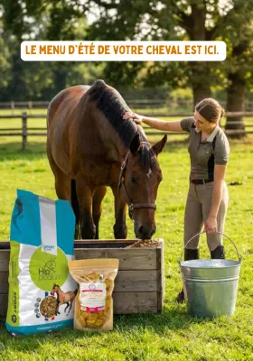Alimentation cheval