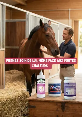 Complément  alimentaire cheval