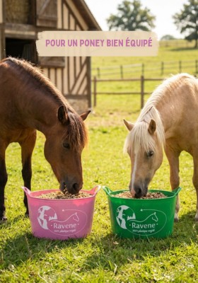 Equipement  chevaux