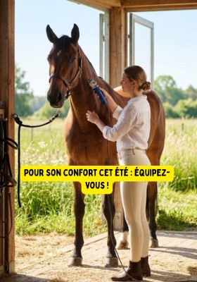 Materiel  chevaux