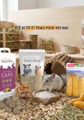 NAC