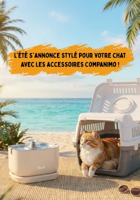 Mise en avant des fontaines à eau Bandit
