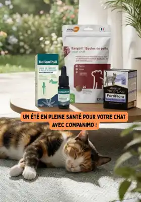 Santé pour chat.