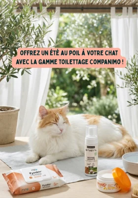 Brosse Retorn pour chat