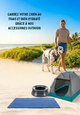 Accessoire Chien