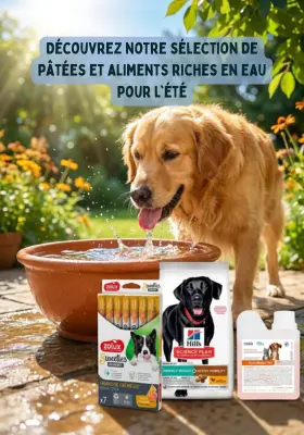 Produits alimentaire chien