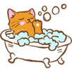 chaton se lave