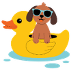 Alimentation en eau du chiot