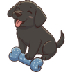 chiot heureux