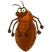 Choix de l'antiparasitaire