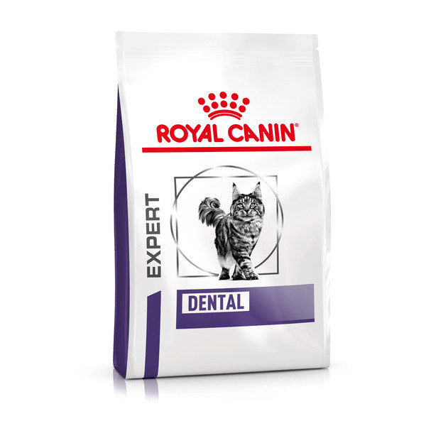 Croquettes médicalisées pour chat