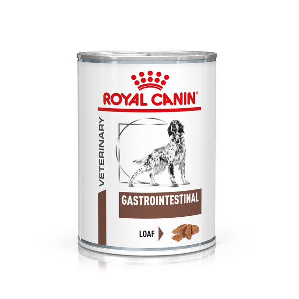 Pâtées pour chien