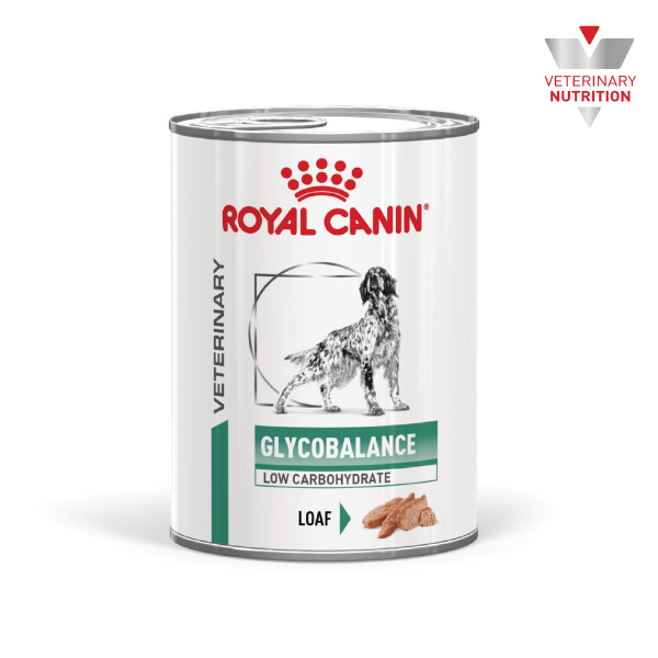 Pâtées médicalisées pour chien
