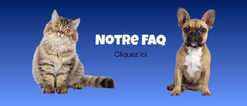 faq link